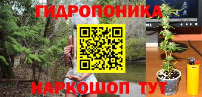 прущие крисы Ликино-Дулёво