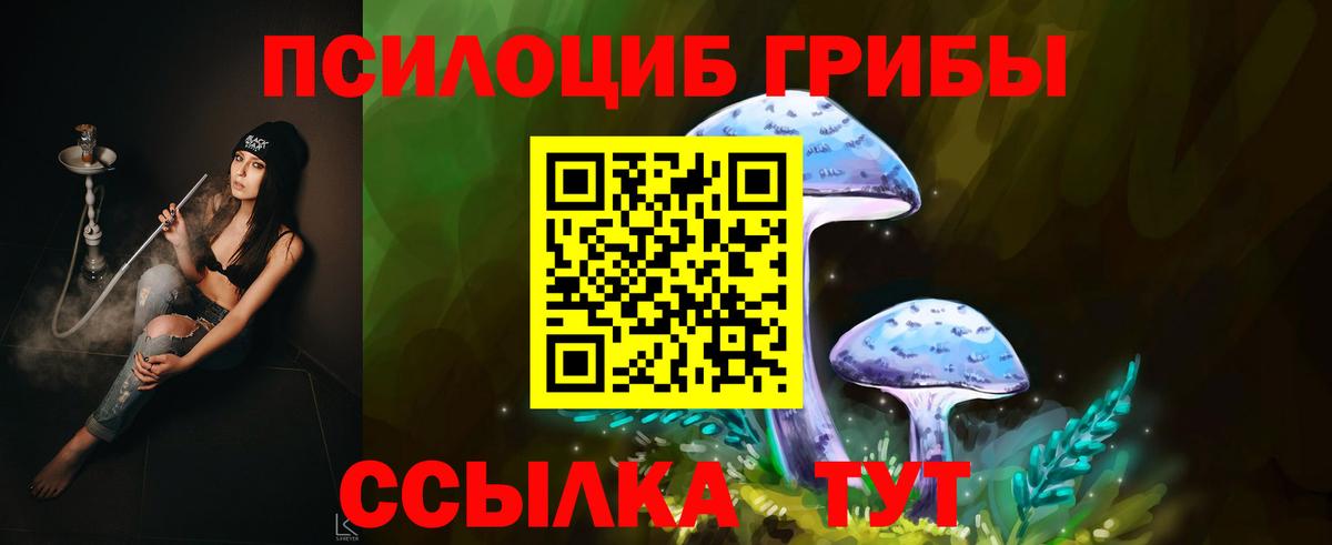 Владикавказ  Галлюциногенные грибы прущие грибы  Вход с VPN  Галлюциногенные грибы Psilocybe 
